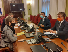 19 January 2021 European Integration Committee Chairperson Elvira Kovacs and the Head of the Council of Europe Office in Belgrade Tobias Flessenkemper